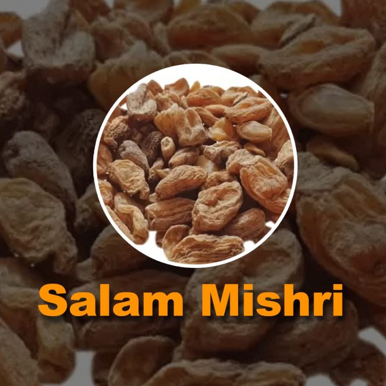 Salam Mishri