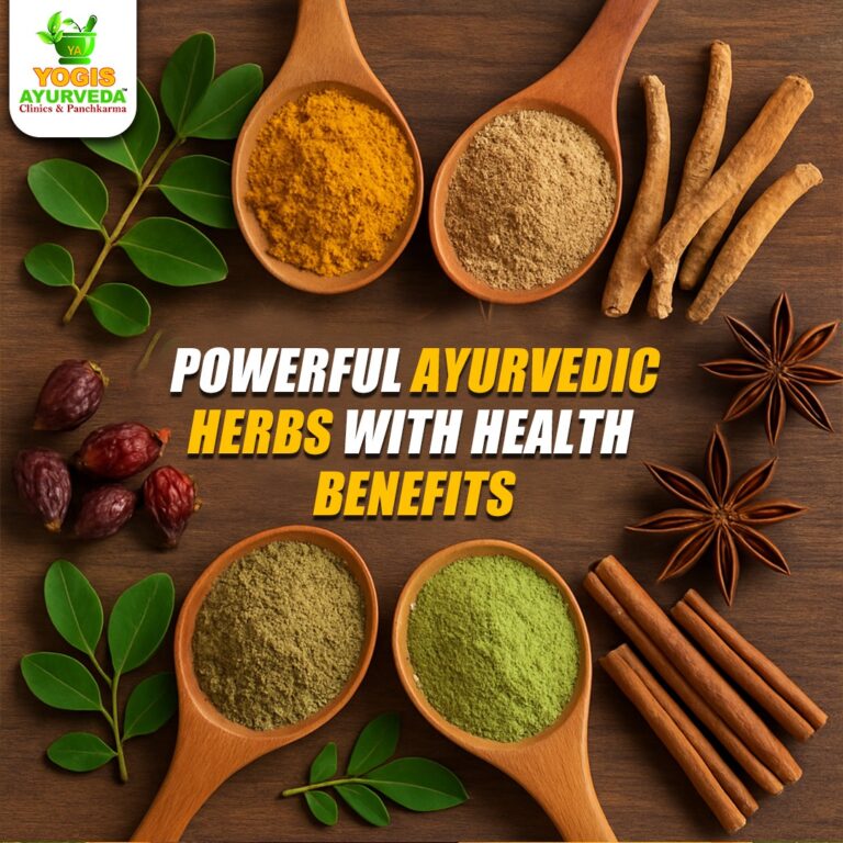 10 Powerful Ayurvedic Herbs with Health Benefits