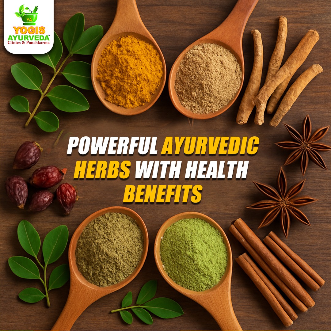 Top 10 Ayurvedic Herbs & Their Health Benefits